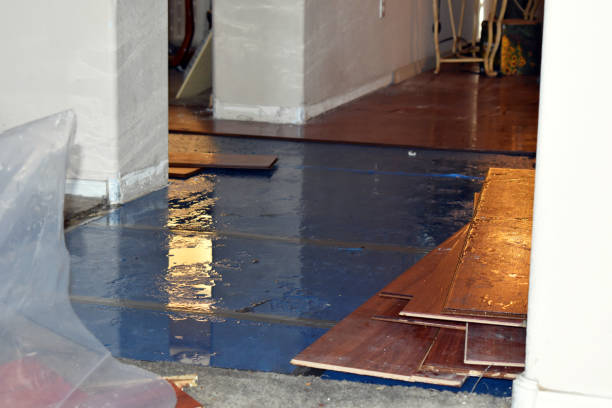 Professional Basement Flood Cleanup technician working in Orlinda, TN